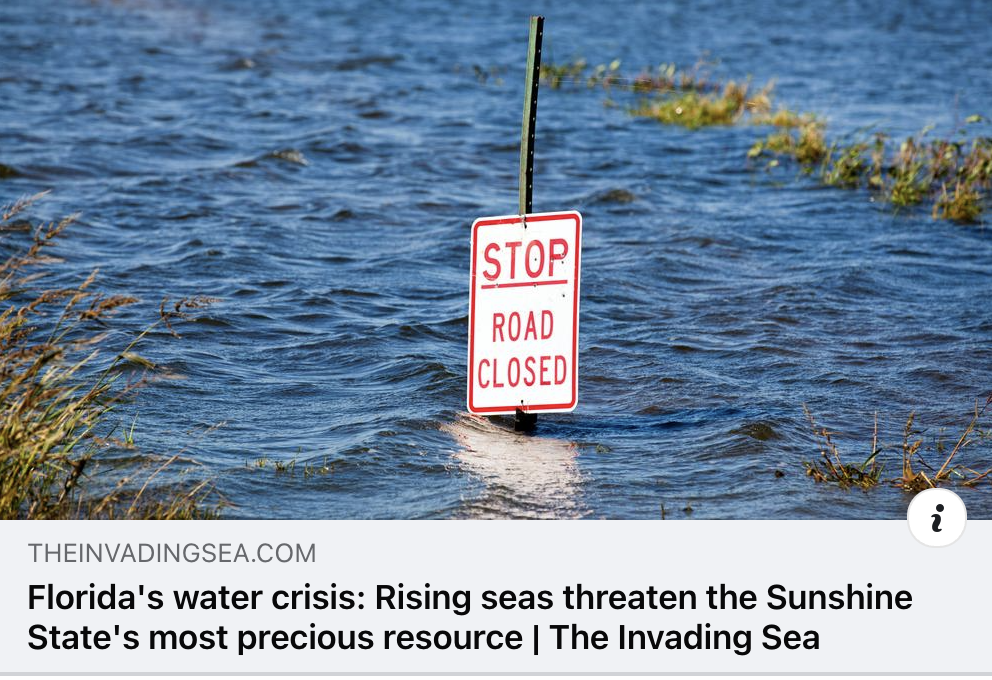 Florida’s water crisis: Rising seas threaten the Sunshine State’s most precious resource